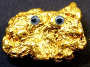 Gold Pet Rock