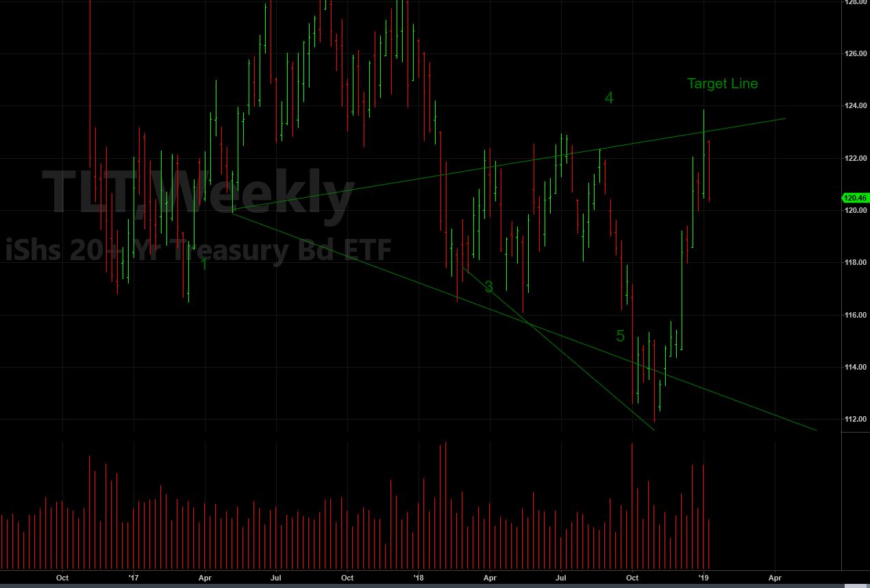 TLT Wolfe Wave Jan 2019